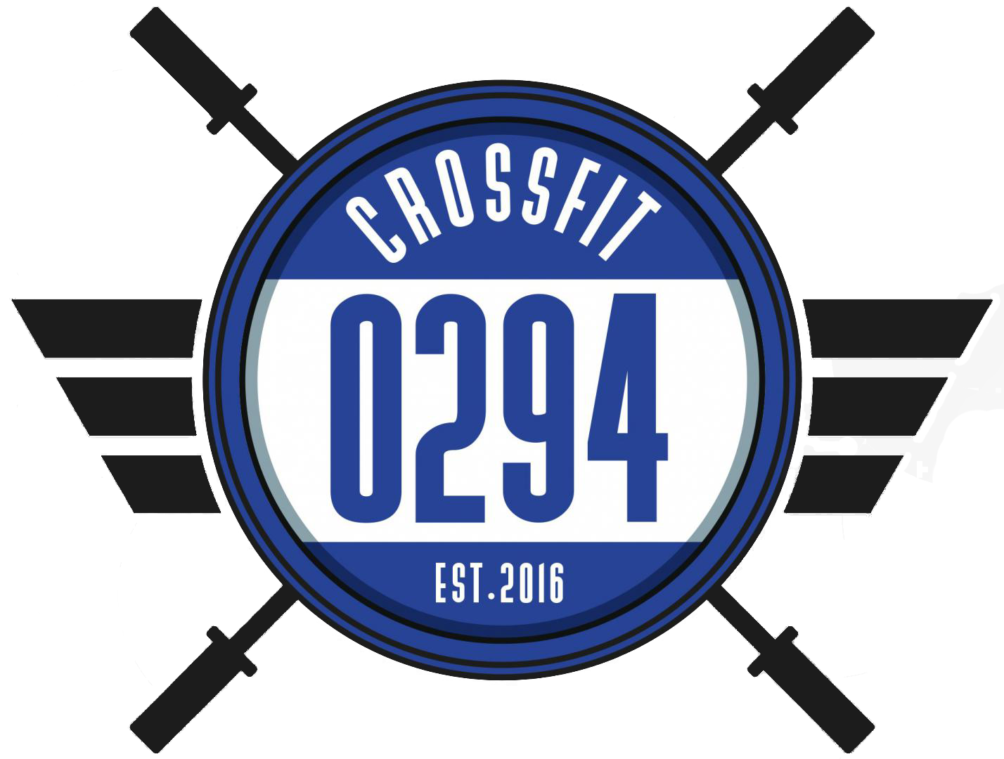 Dé CrossFit box van Weesp